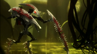 Animation Krika.png