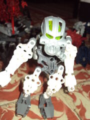Maxeca chilerank