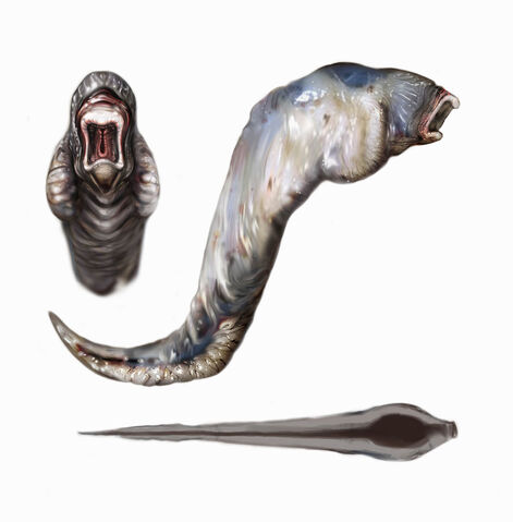File:B1 Sea Slug Concepts.jpeg