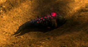 Sea slug.png