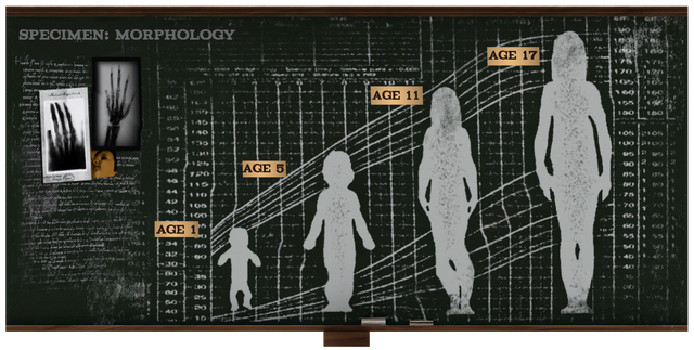File:Chalkboard LG SPECIMEN DIFF.png