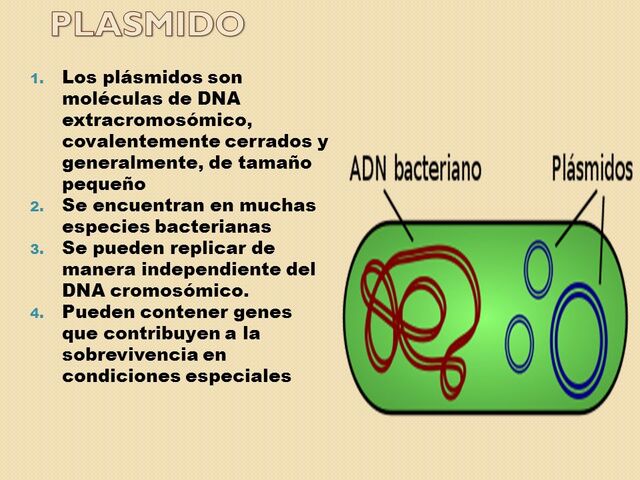 Archivo:Slide 2.jpg