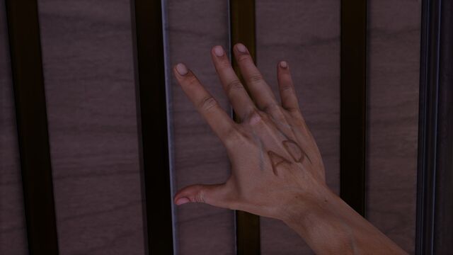 File:The False Shepherd sign.jpg