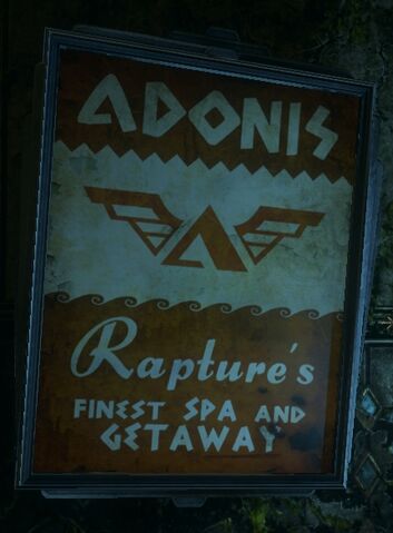 Datei:Adonis commercial.jpg