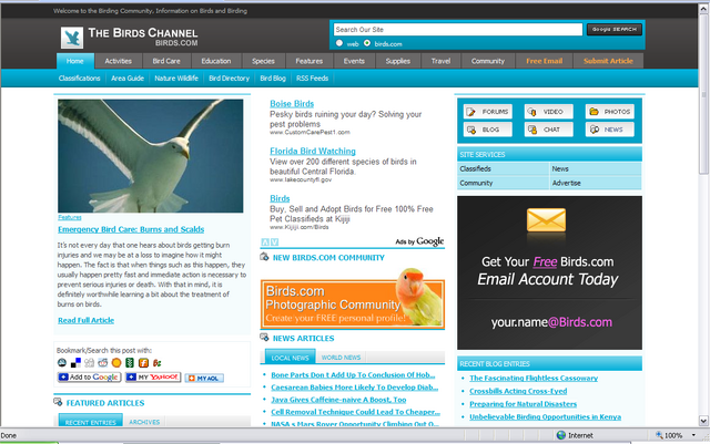 File:BirdsChannelScreenshot.png