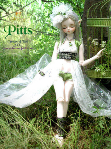 File:Dod-pitts3.jpg
