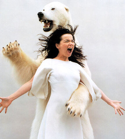 File:Bjork-and-a-polar-bear.jpg
