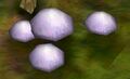 Thumbnail for version as of 07:01, August 7, 2010