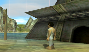 Templeinstructions