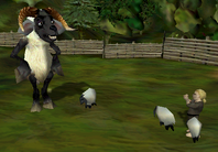 Sheepherder reward