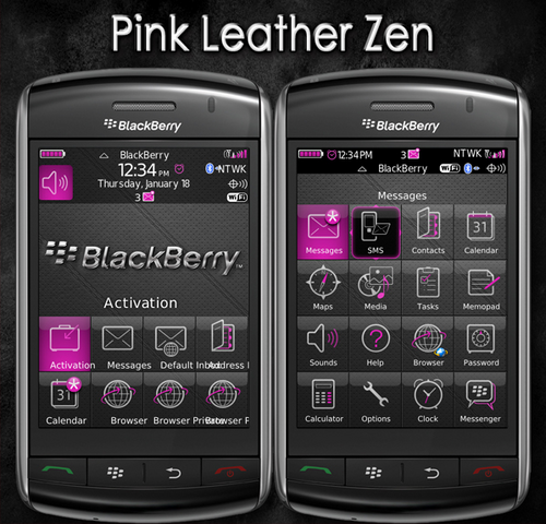File:PinkLeatherZen.png