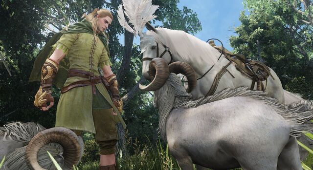 File:Male Elf.jpg