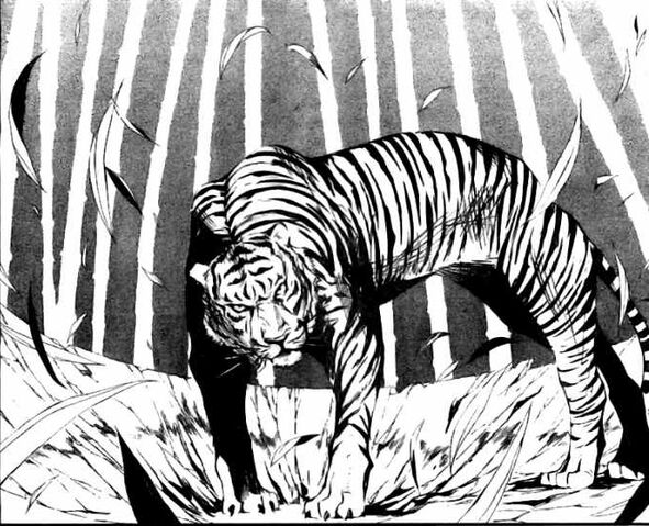 File:Innocentsoul tiger.jpg