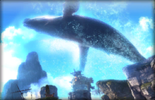 Beluga