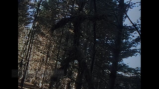File:BDDefinition-BlairWitch-h-1080.jpg