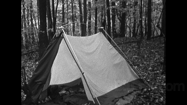 File:3234 7 large.jpg