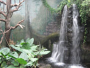 Back mountain and waterfall