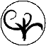 Chiron-1-