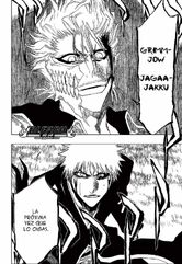 Bleach212(2).jpg