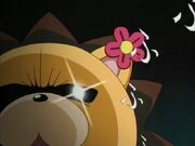 Kon-4