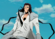 Starrk es atravesado.png