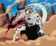 FullHollowIchigo.jpg
