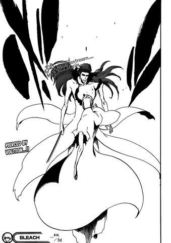 Archivo:20.png