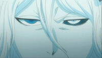 La cara de Tensa Zangetsu.jpg