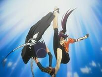 Soi Fong vs Yoruichi.jpg