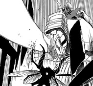 File-Komamura Bankai Vs Tousen.jpg