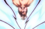 237Hozukimaru activates