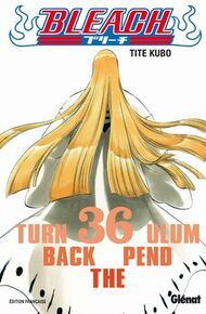 Tome 36.jpg