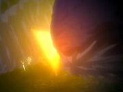 ImagesCA81R461.jpg
