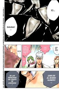 Bleach-103.jpg