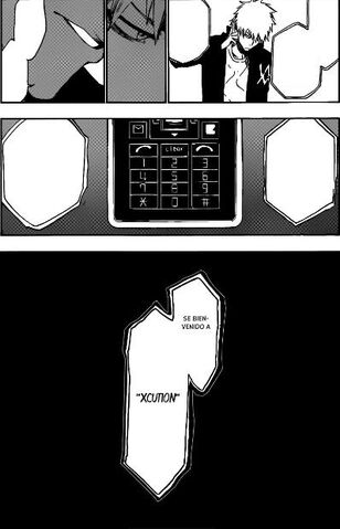 Archivo:IchigoXcution.jpg
