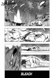 Bleach206.jpg