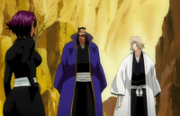 Ep212YoruichiBerates.png