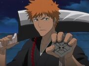 Shinigami sustituto.jpg