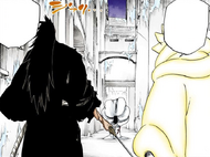636Kenpachi & Mayuri vs. Pernida