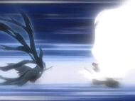 Byakuya kontra Ichigo.jpeg