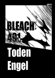 C491 cover