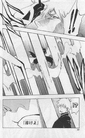 File:Raw ch55p80.jpg