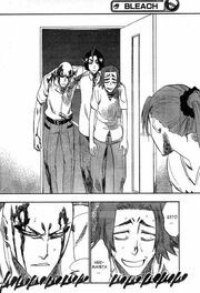Bleach 213