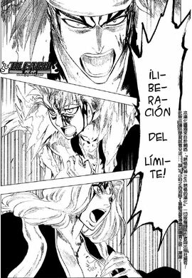 Bleach 209(2).jpg