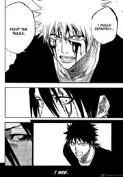 Bleach-12472-1-.jpg