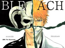 Bleach 289 Capitulo.jpg