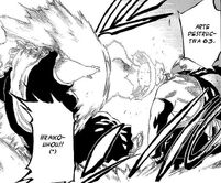 Bleach11 (2).jpg