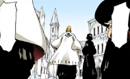 628Gotei 13 arrive