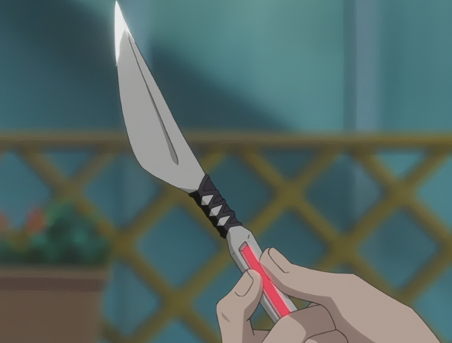 File:Ep134HisagomaruShikai.png
