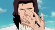 583px-Bleach - 226 - Large 21.jpg